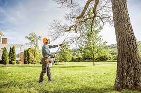 Gilbertsville, PA  Tree Services Company